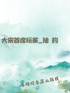 大宋首席玩家