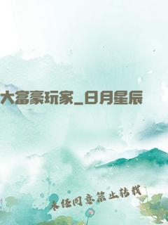大富豪玩家