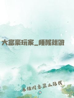 大富豪玩家