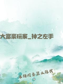大富豪玩家
