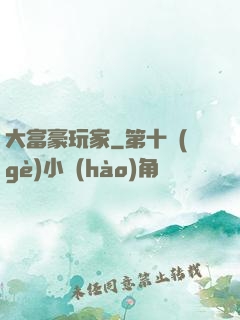 大富豪玩家