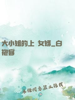 大小姐的上門女婿