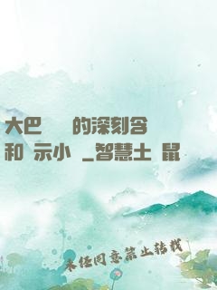 大巴車輪軒的深刻含義和啟示小說