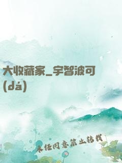 大收藏家