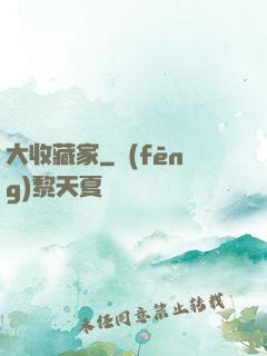 大收藏家