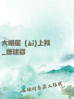 大明星愛(ài)上我