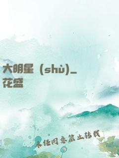 大明星術(shù)