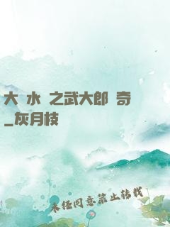 大話水滸之武大郎傳奇