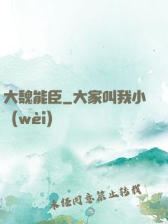 大魏能臣