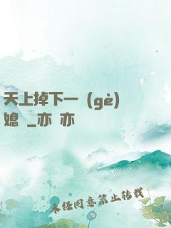 天上掉下一個(gè)媳婦