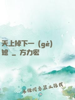 天上掉下一個(gè)媳婦