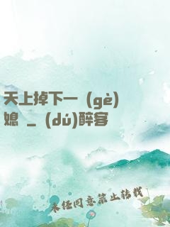 天上掉下一個(gè)媳婦