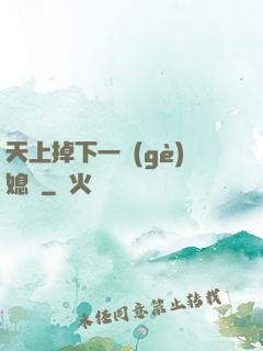 天上掉下一個(gè)媳婦