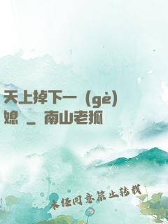 天上掉下一個(gè)媳婦