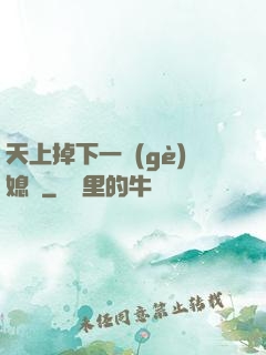 天上掉下一個(gè)媳婦