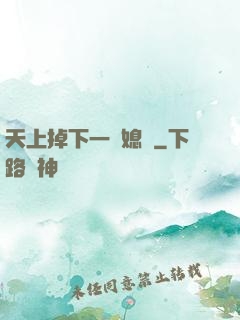 天上掉下一個媳婦