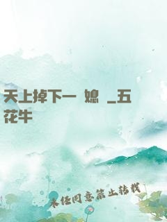 天上掉下一個媳婦