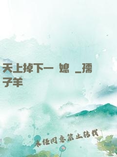 天上掉下一個媳婦