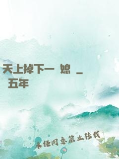 天上掉下一個媳婦