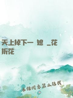 天上掉下一個媳婦