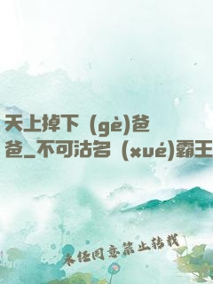 天上掉下個(gè)爸爸