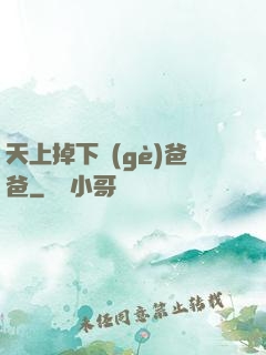 天上掉下個(gè)爸爸