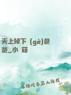 天上掉下個(gè)爸爸