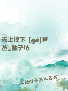 天上掉下個(gè)爸爸