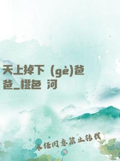 天上掉下個(gè)爸爸