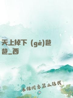 天上掉下個(gè)爸爸