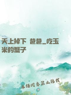天上掉下個爸爸