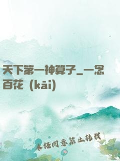 天下第一神算子