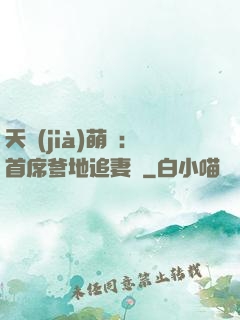天價(jià)萌寶：首席爹地追妻記