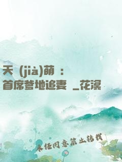 天價(jià)萌寶：首席爹地追妻記