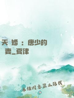 天價婚愛：唐少的終極寵妻