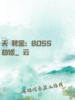 天價聘金：BOSS來劫婚