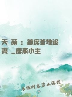 天價萌寶：首席爹地追妻記