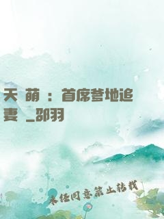 天價萌寶：首席爹地追妻記