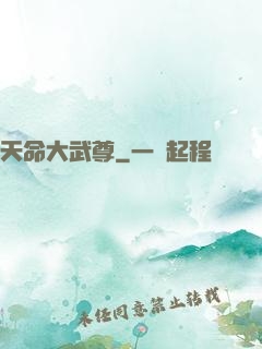 天命大武尊