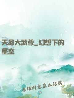 天命大武尊
