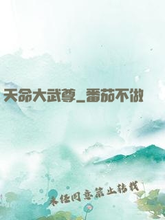 天命大武尊
