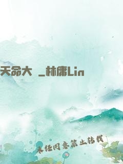 天命大盜
