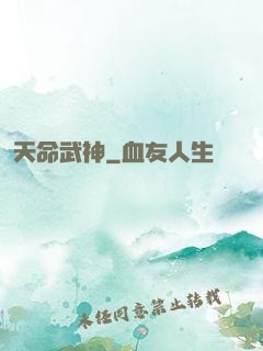 天命武神