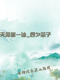 天命第一仙