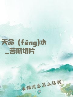 天命風(fēng)水師