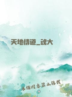 天地情道
