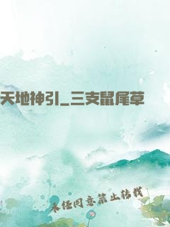 天地神引