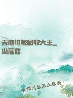 天庭垃圾回收大王