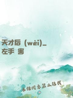 天才后衛(wèi)
