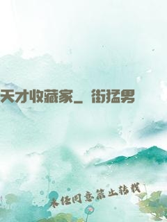 天才收藏家